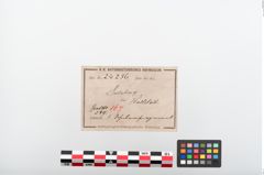 Etiketten zu Gefäßrand (NHMW-PRAE-024236)
